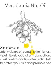 Load image into Gallery viewer, Barefoot Venus | Body Cream 8oz