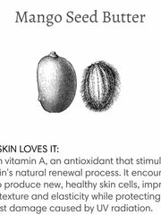 Load image into Gallery viewer, Barefoot Venus | Lip Balm