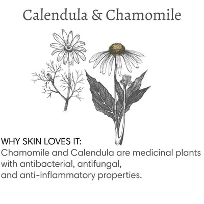 Barefoot Venus | Powder