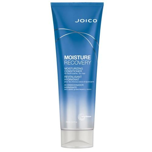 Joico Moisture Recovery Moisturizing Conditioner - Totally Refreshed Steam and Spa